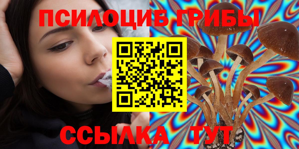 Галлюциногенные грибы мицелий  Вход с VPN  дарнет шоп  Кемерово  Галлюциногенные грибы GOLDEN TEACHER 